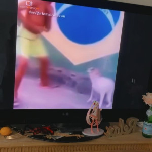 Video by maihero published on July 8,2023 12:30:00 - BestThots