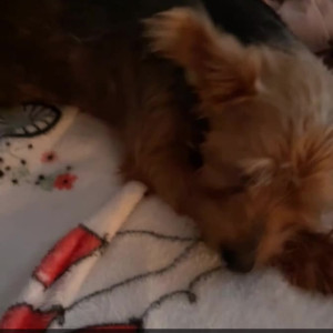 Video by maihero published on August 21,2023 16:24:00 - BestThots