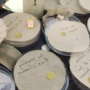 Video by maihero published on July 29,2023 18:27:00 - BestThots