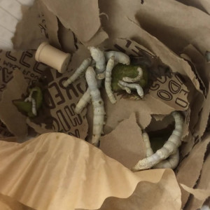 Video by maihero published on August 9,2023 00:21:00 - BestThots