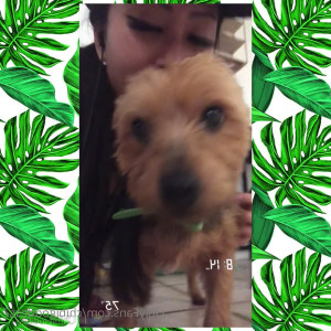 Video by maihero published on June 22,2023 13:38:00 - BestThots