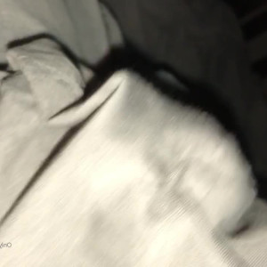 Video by nikocadoavocado published on April 11,2023 04:02:00 - BestThots
