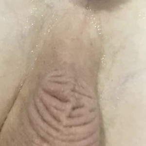 Video by liahferreira published on March 16,2023 06:04:00 - BestThots