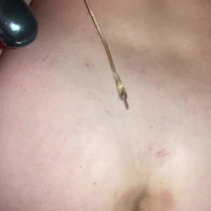 Video by liahferreira published on June 19,2023 18:18:00 - BestThots