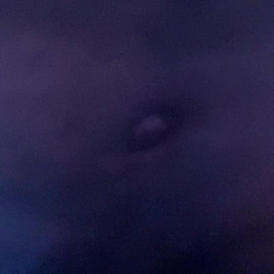 Video by liahferreira published on March 23,2023 22:31:00 - BestThots