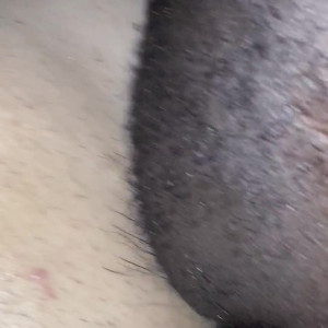 Video by liahferreira published on April 6,2023 04:56:00 - BestThots