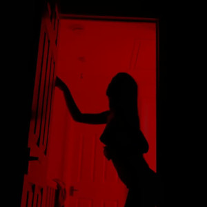 Video by danielleshayes published on April 21,2023 00:18:00 - BestThots