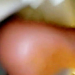 athenapalomino #8525389