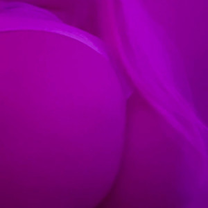 Video by kinkykttn published on April 6,2023 21:07:00 - BestThots