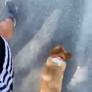Video by bouncybritney1 published on August 25,2023 14:04:43 - BestThots