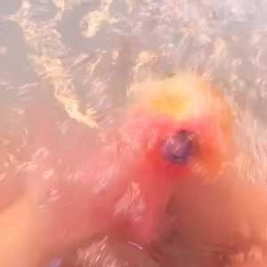 Video by bouncybritney1 published on August 25,2023 14:08:44 - BestThots