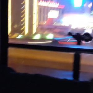 Video by thorjohnsonxxx published on May 16,2023 07:12:00 - BestThots