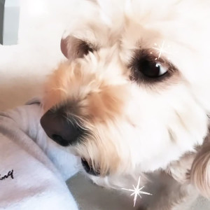 Video by scarlettshoward published on August 25,2023 16:01:38 - BestThots