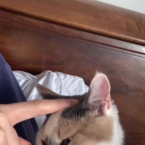 Video by scarlettshoward published on August 25,2023 15:58:01 - BestThots