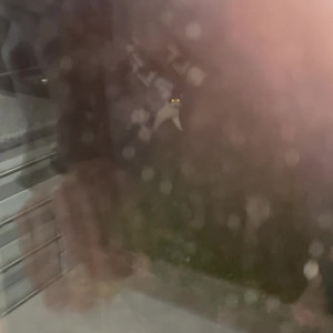 Video by scarlettshoward published on August 25,2023 15:58:56 - BestThots