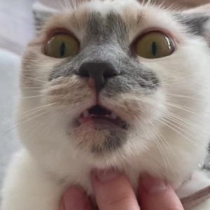 Video by scarlettshoward published on August 25,2023 15:57:42 - BestThots