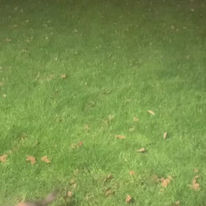 Video by scarlettshoward published on August 25,2023 15:57:42 - BestThots