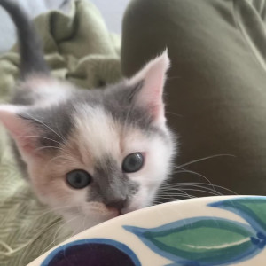 Video by scarlettshoward published on August 25,2023 16:00:34 - BestThots