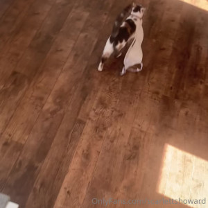 Video by scarlettshoward published on August 25,2023 16:05:02 - BestThots