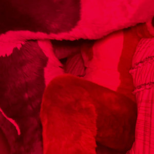 angel_pups #5374618