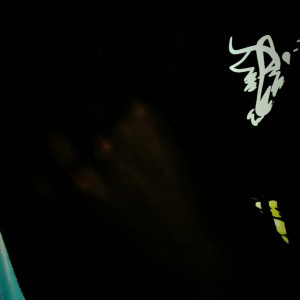 Video by queerbunnybabe published on March 28,2023 12:19:00 - BestThots