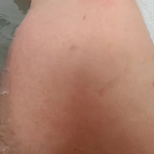 barklicious #5800674