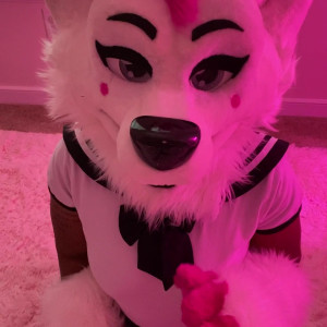 Video by bustypuppy published on April 25,2023 14:52:00 - BestThots
