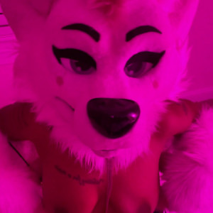 Video by bustypuppy published on May 24,2023 06:03:00 - BestThots