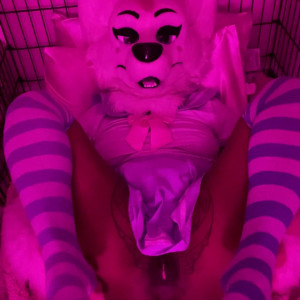 Video by bustypuppy published on March 24,2023 08:04:00 - BestThots