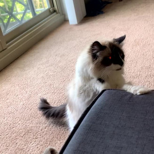 Video by daisiegirl published on July 24,2023 21:10:00 - BestThots