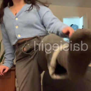 Video by daisiegirl published on March 9,2023 12:36:00 - BestThots