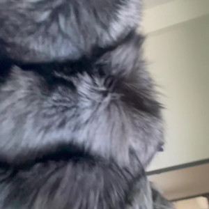 Video by furfetishcouple published on July 22,2023 08:28:00 - BestThots