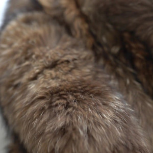 Video by furfetishcouple published on August 11,2023 08:26:00 - BestThots