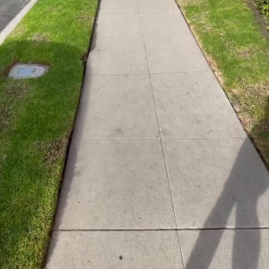 Video by rough_ginger published on August 11,2023 19:32:00 - BestThots