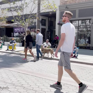 Video by rough_ginger published on March 31,2023 15:55:00 - BestThots