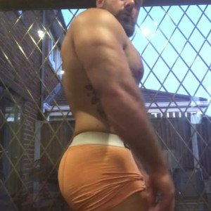 Video by thebritishbear1 published on August 16,2023 09:14:41 - BestThots