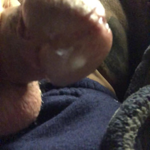 Video by thebritishbear1 published on August 16,2023 10:32:04 - BestThots