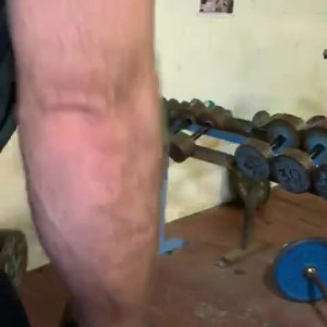 Video by thebritishbear1 published on August 16,2023 12:04:48 - BestThots