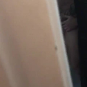 thebritishbear1 #3216453