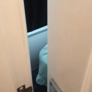 Video by thebritishbear1 published on August 16,2023 08:59:22 - BestThots