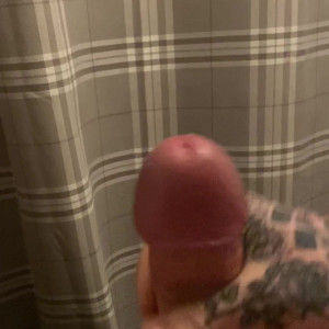 Video by thebritishbear1 published on August 16,2023 09:01:29 - BestThots