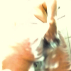 Video by fattrapo published on May 19,2023 08:05:00 - BestThots