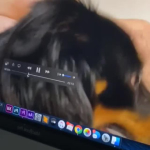 Video by guesswhox2 published on March 12,2023 01:47:00 - BestThots