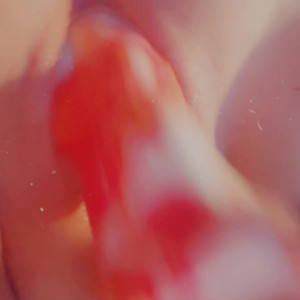 Video by lewdnico published on August 25,2023 17:55:16 - BestThots