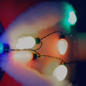 Video by lewdnico published on August 25,2023 17:57:27 - BestThots