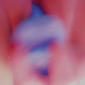 lewdnico #3605852
