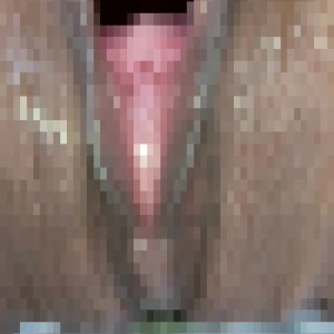 Video by tuflaca published on March 29,2023 07:00:00 - BestThots