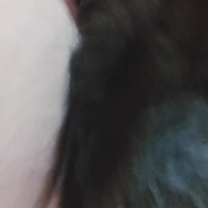 callsignquiet #5307489