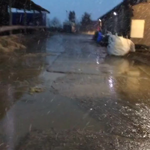 Video by onlylittlelori published on March 10,2023 06:18:00 - BestThots