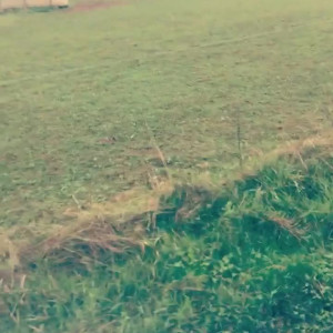 Video by onlylittlelori published on May 22,2023 17:29:00 - BestThots